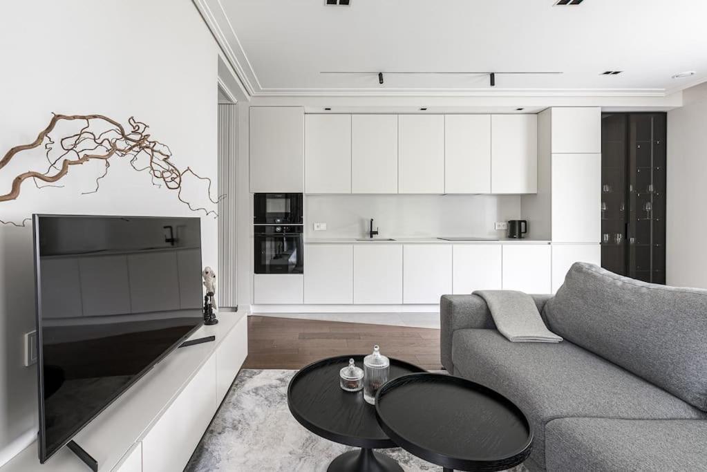 Spacious Luxury W/river View/terrace Paupys Apartment Wilna