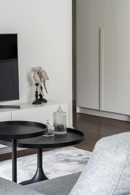 Spacious Luxury W/river View/terrace Paupys Apartment *