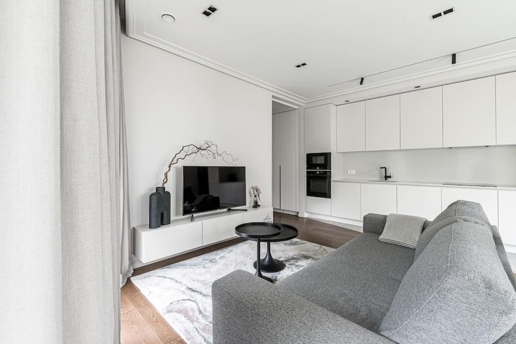 Spacious Luxury W/river View/terrace Paupys Apartment Wilna