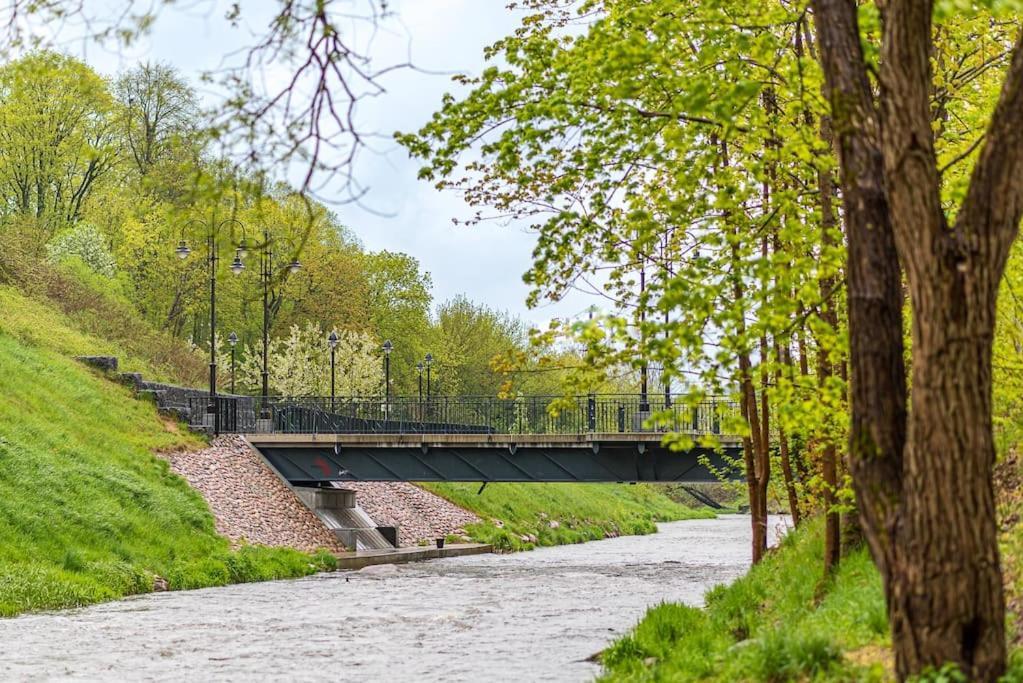 Apartment Spacious Luxury W/river View/terrace Paupys Wilna